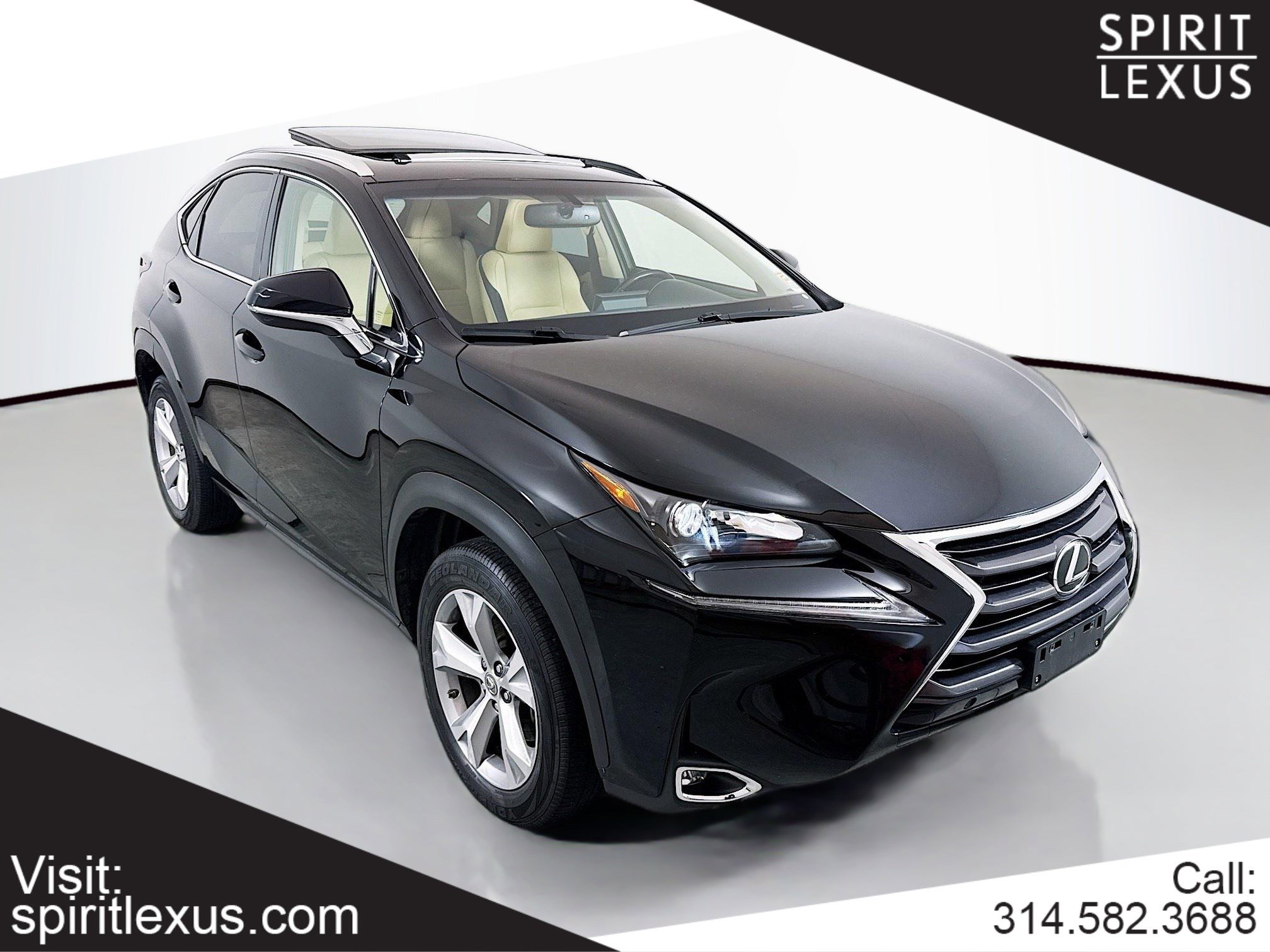 2017 Lexus NX Base's photo