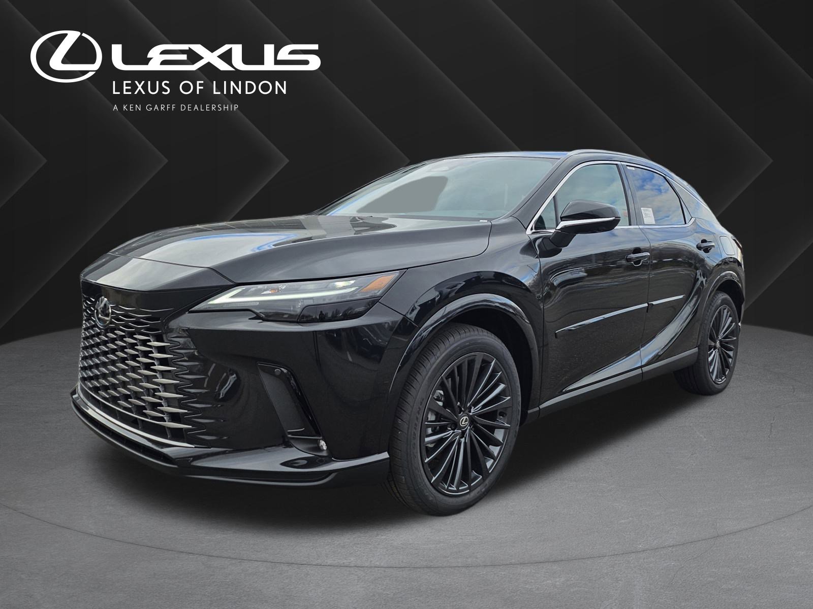 2026 Lexus RX Hybrid 350h's photo
