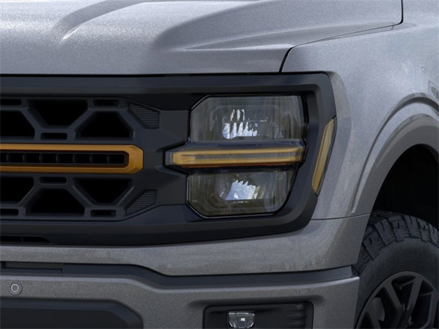 2025 Ford F-150 Tremor photo 16