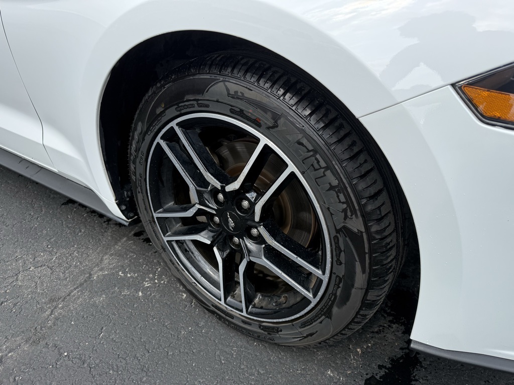 2023 Ford Mustang EcoBoost Premium photo 3