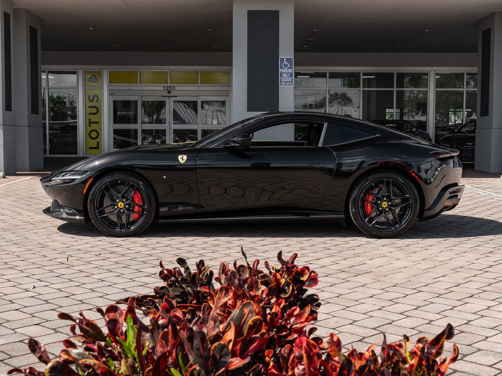 2023 Ferrari Roma photo 7