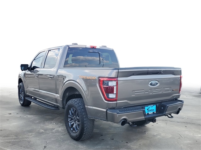 2022 Ford F-150 Tremor photo 3