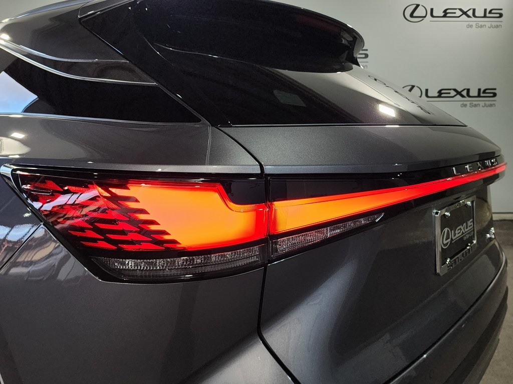 2025 Lexus RX 350 photo 9