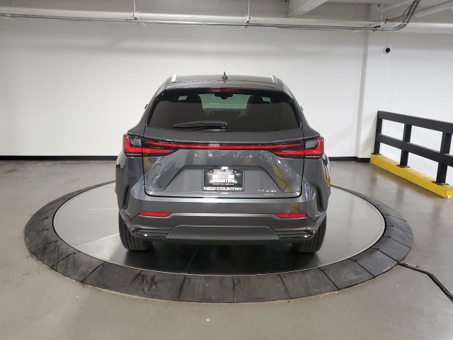 2025 Lexus NX 350 Premium photo 3