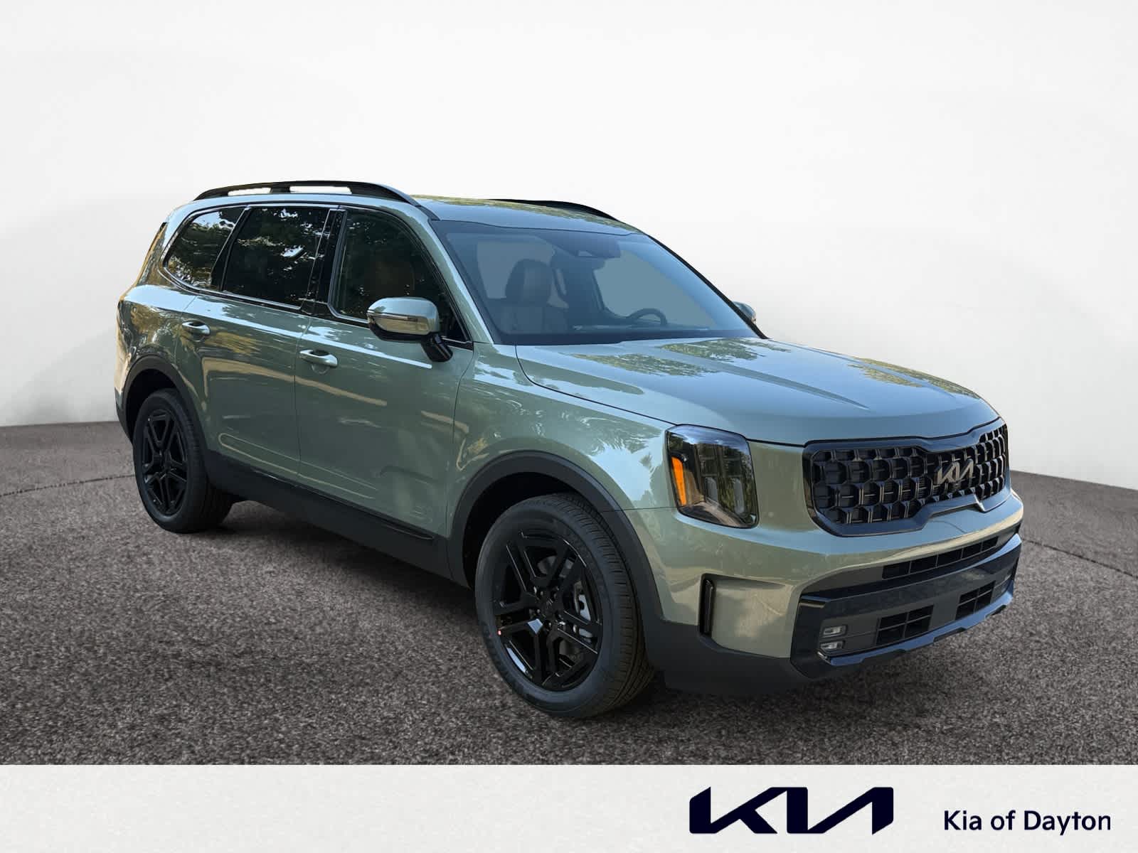 2025 Kia Telluride SX Prestige X-Line photo 7