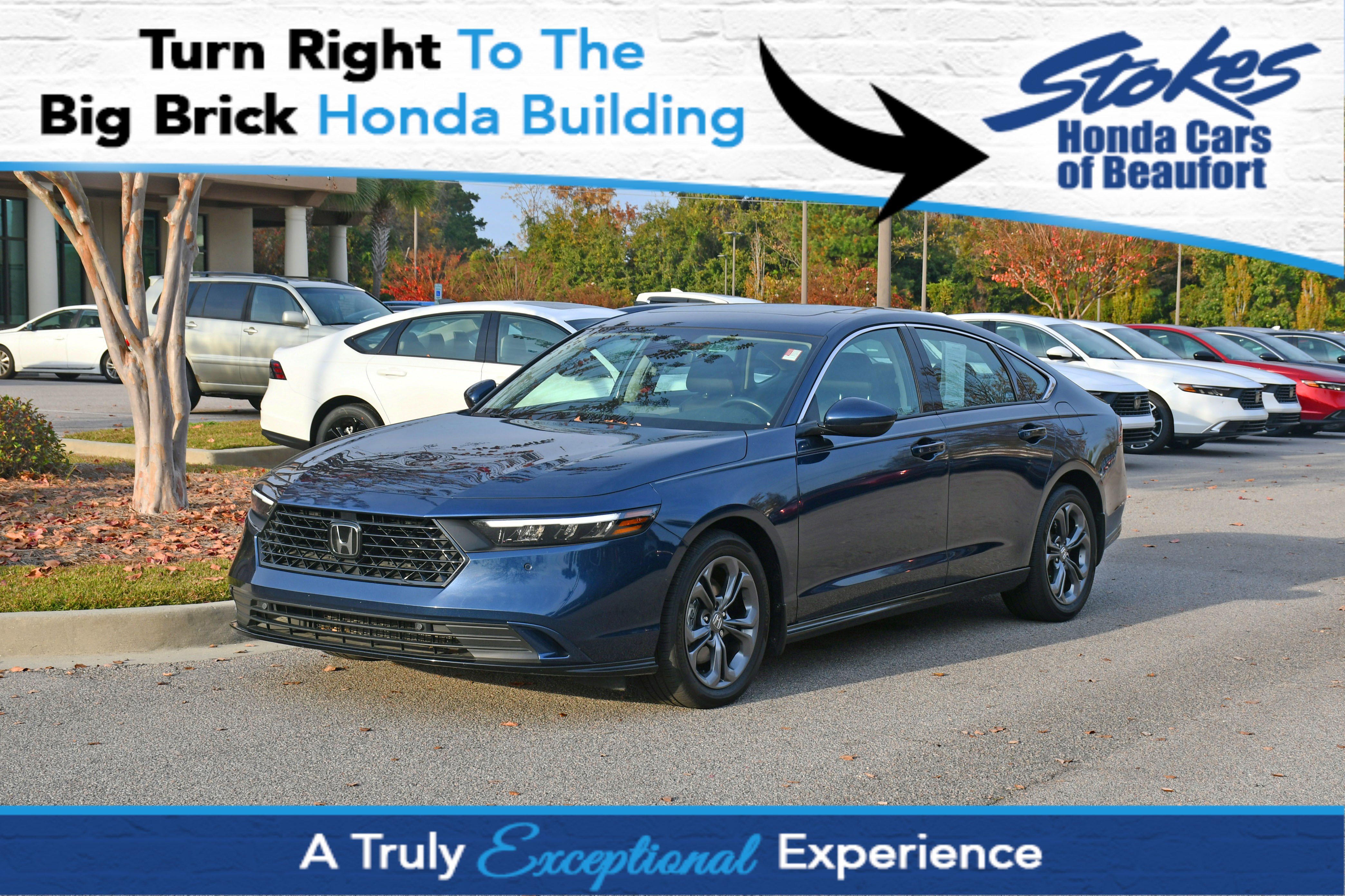 2024 Honda Accord Hybrid EX-L's photo