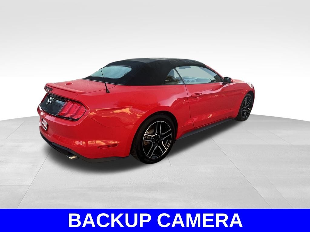 2023 Ford Mustang EcoBoost Premium photo 4