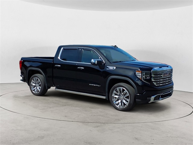 2023 Gmc Sierra 1500 Denali photo 7