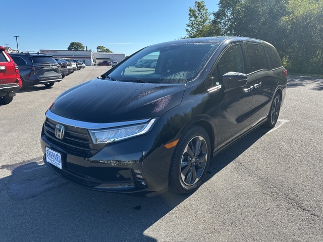 2024 Honda Odyssey Elite photo 3