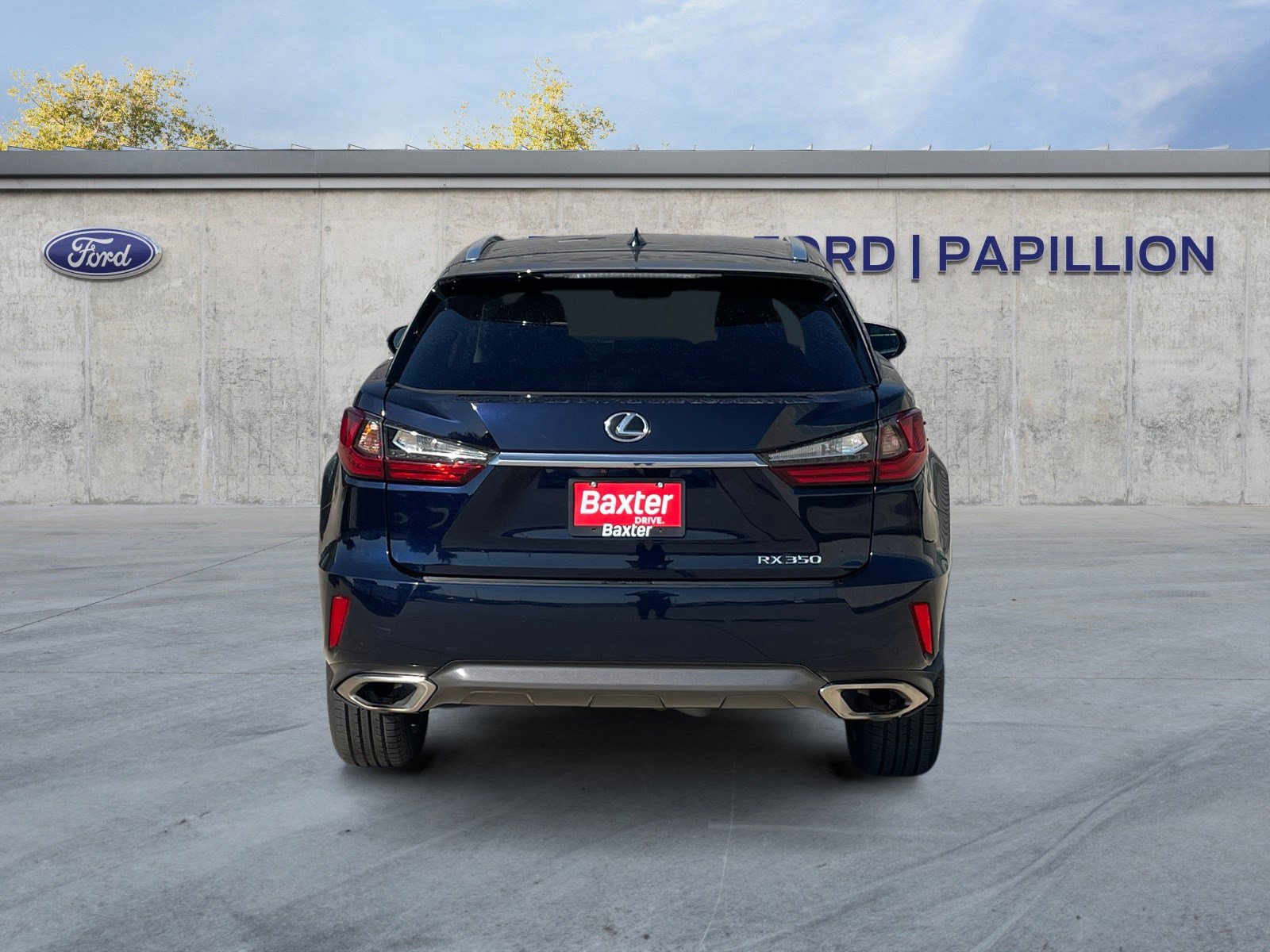2019 Lexus RX 350 F SPORT photo 4
