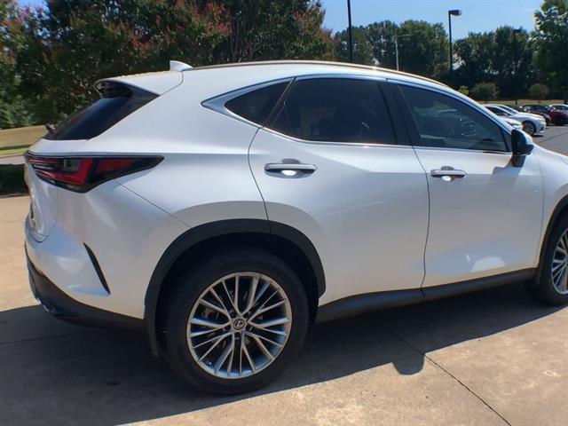 2023 Lexus NX 350 Luxury photo 7