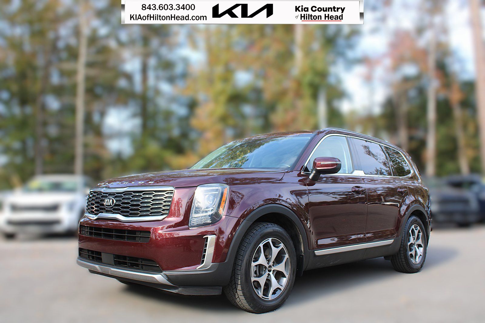 2021 Kia Telluride EX's photo