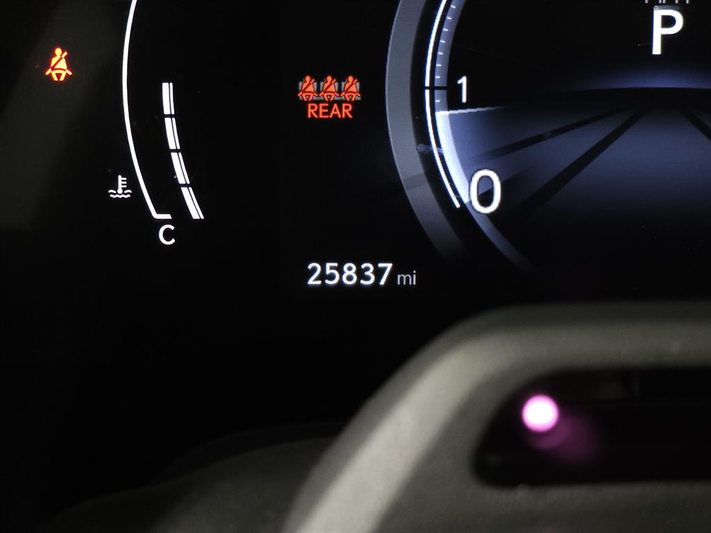 2024 Lexus RX 350 photo 17