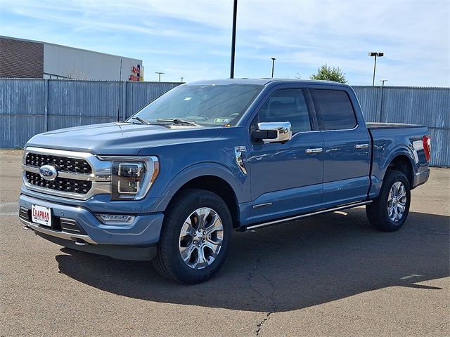 2023 Ford F-150 Platinum photo 2