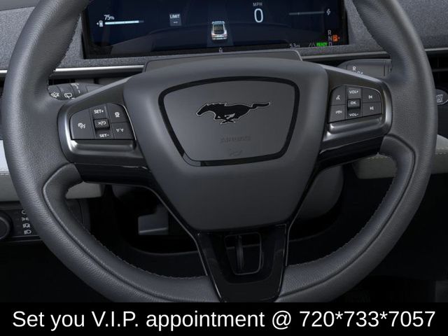 2025 Ford Mustang Mach-E Premium photo 12