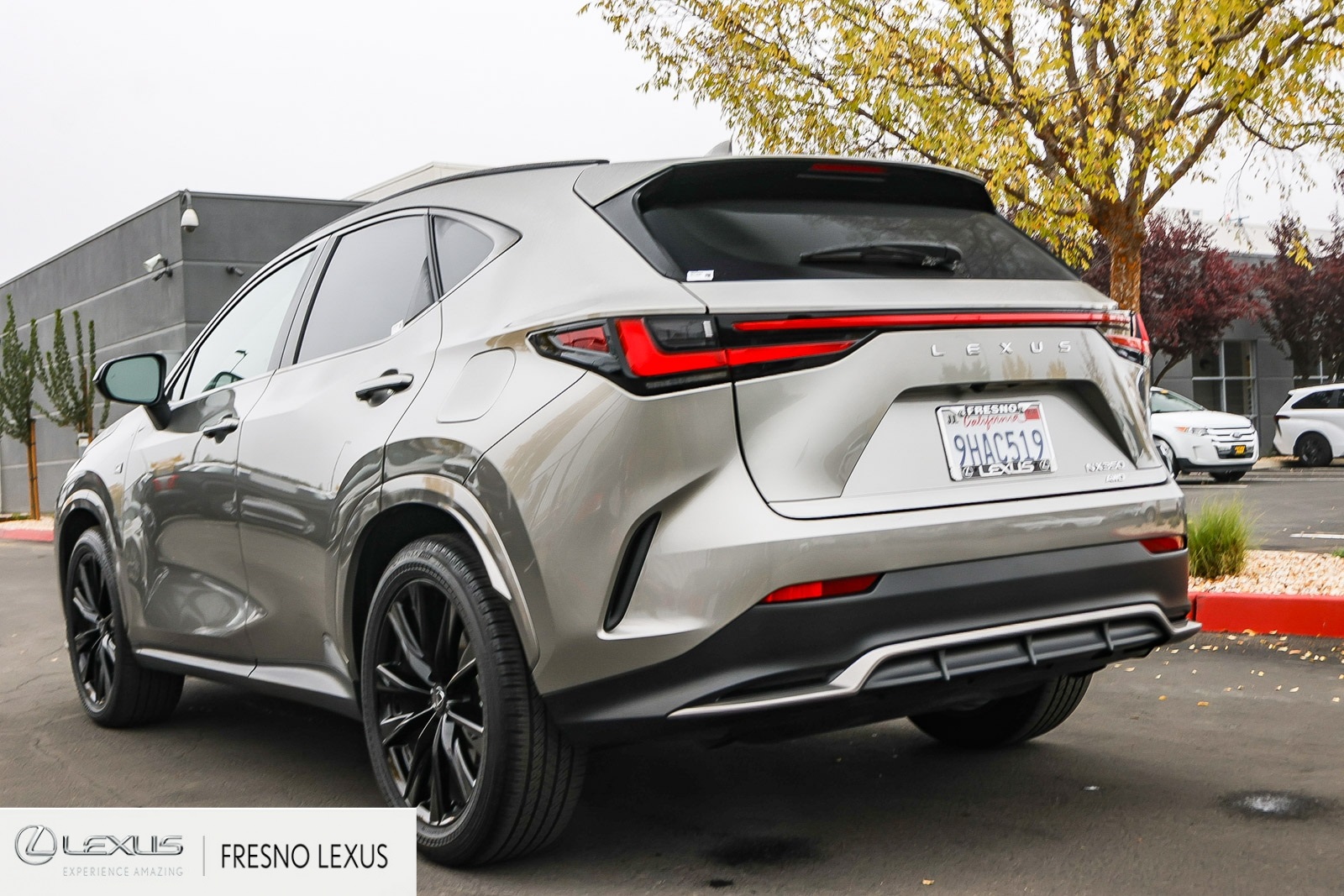 2024 Lexus NX 350 F SPORT Handling photo 2