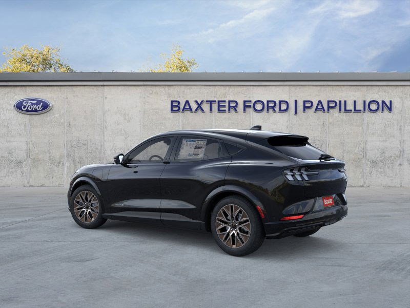 2025 Ford Mustang Mach-E Premium photo 19