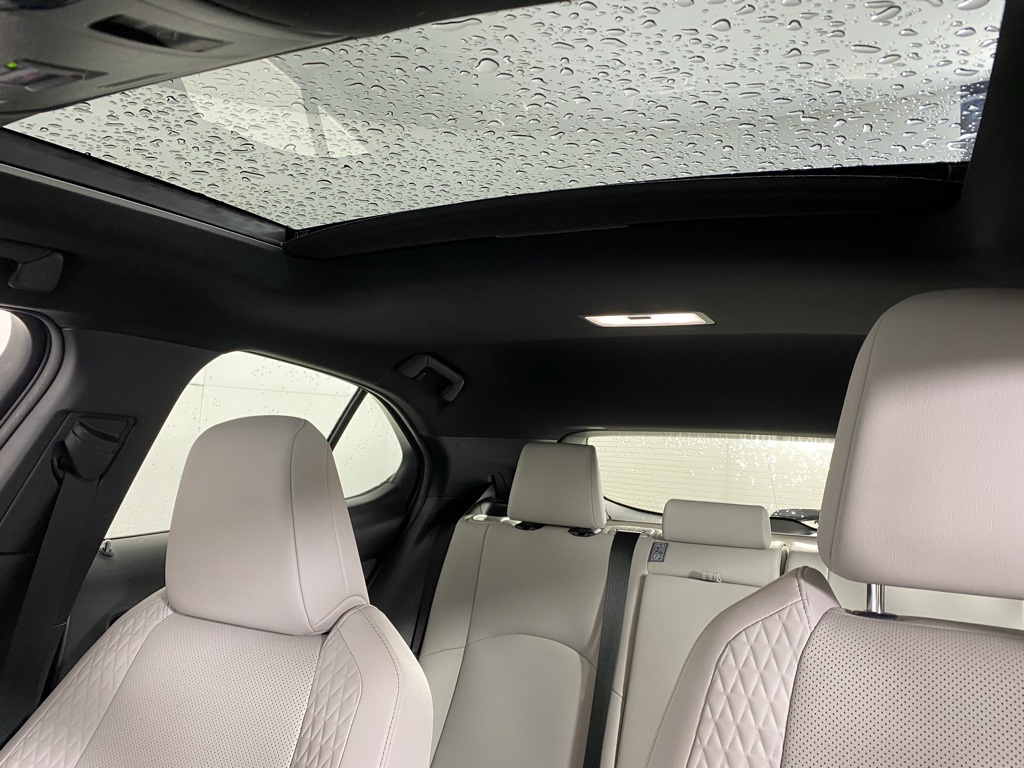 2020 Lexus UX 250h Premium photo 4