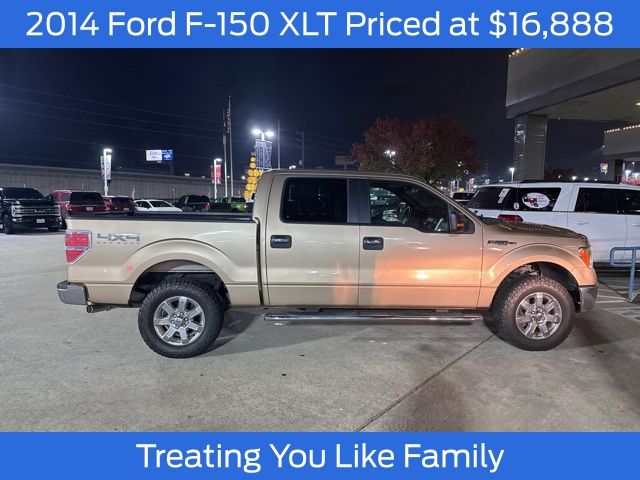 2014 Ford F-150 XLT's photo