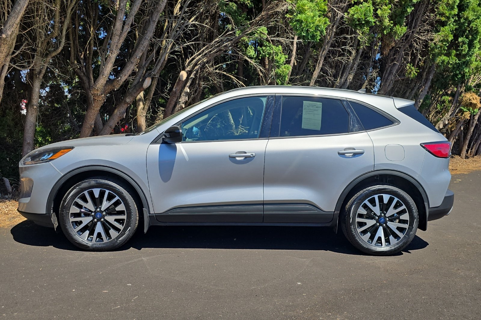 2020 Ford Escape SE Sport Hybrid photo 7