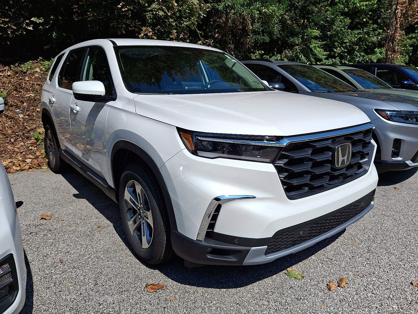 2025 Honda Pilot EX-L photo 3