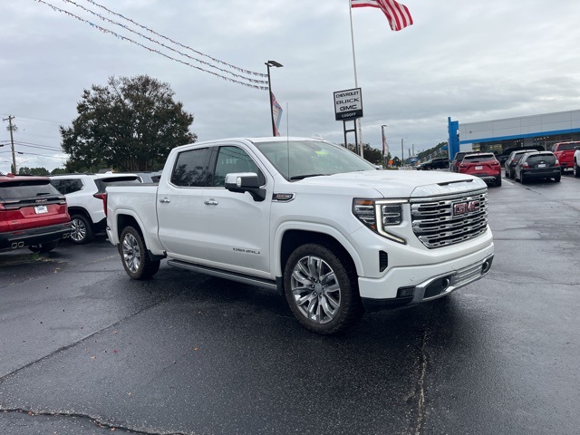 2023 Gmc Sierra 1500 Denali photo 2