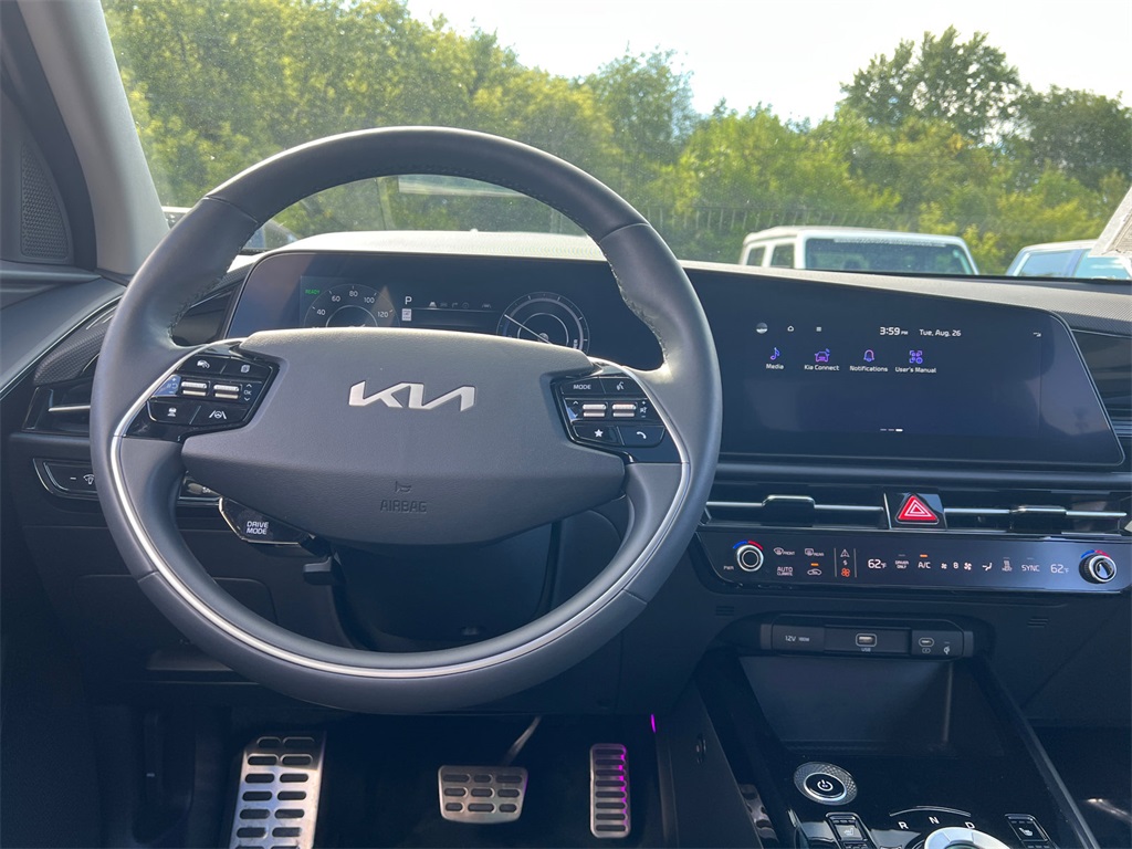 2024 Kia Niro EV Wave photo 8