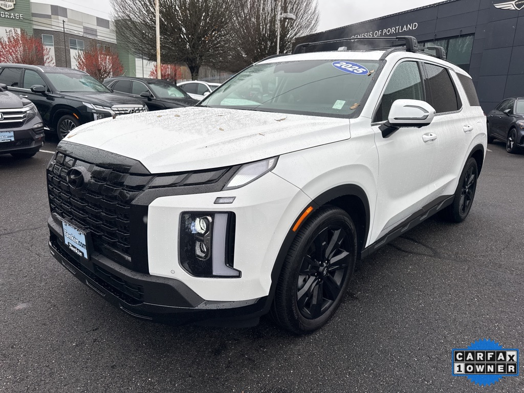 2025 Hyundai Palisade XRT photo 3