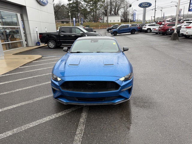 2021 Ford Mustang Base's photo