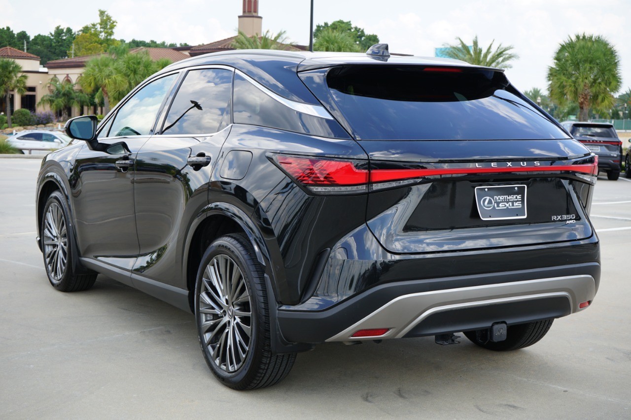 2024 Lexus RX 350 Luxury photo 6