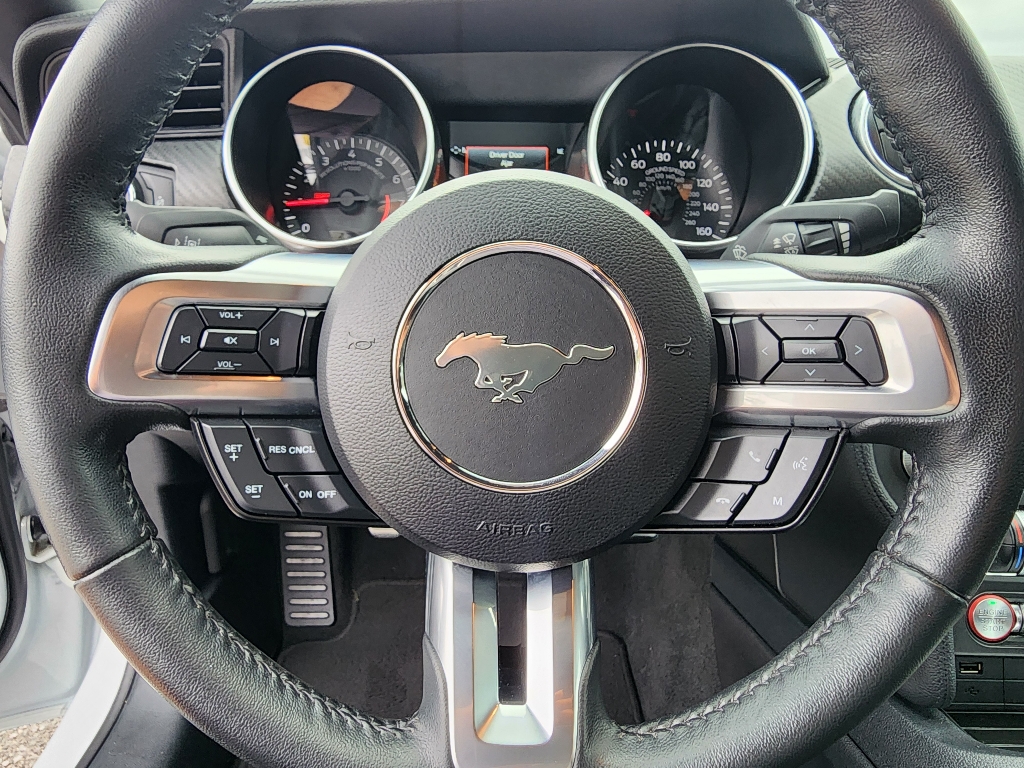 2022 Ford Mustang EcoBoost photo 12