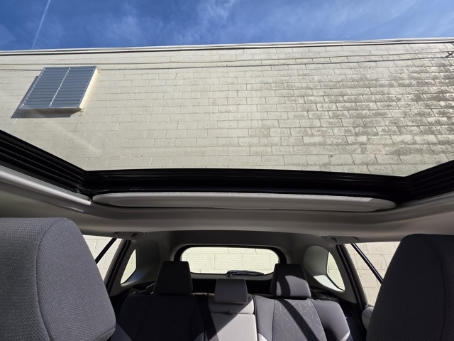 2019 Toyota RAV4 XLE photo 15