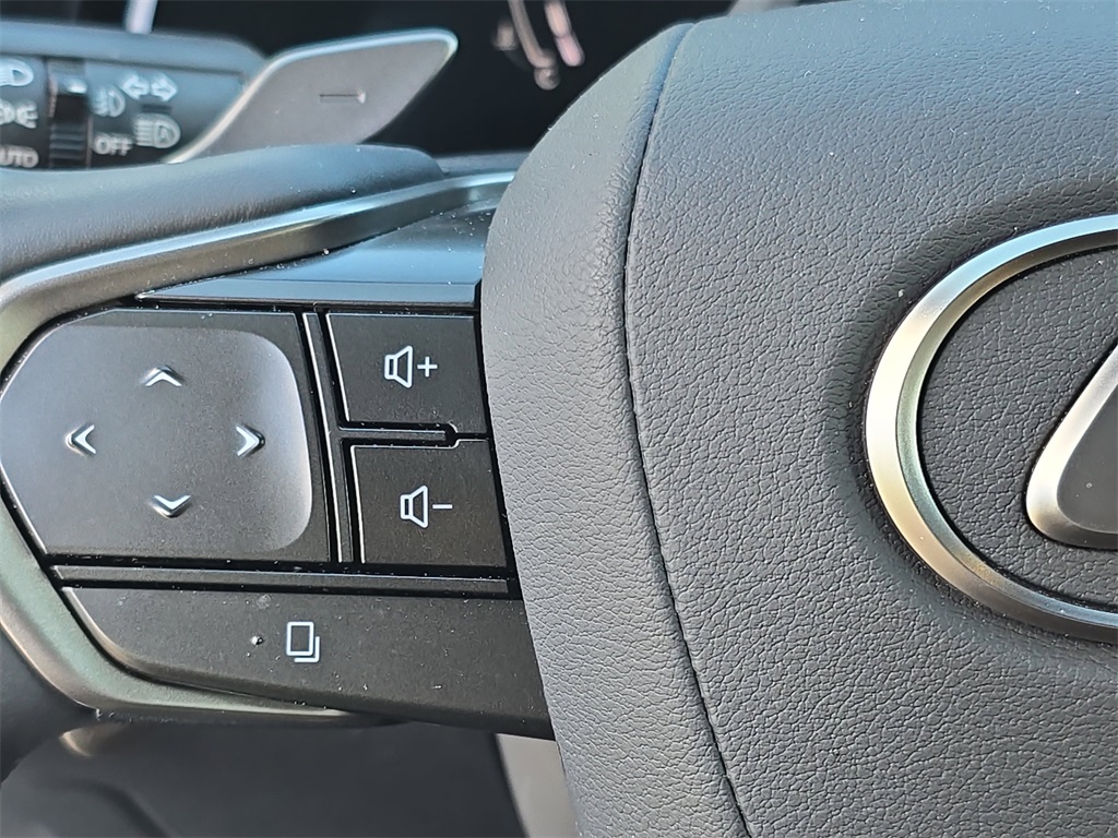 2024 Lexus RX 350h Premium photo 14