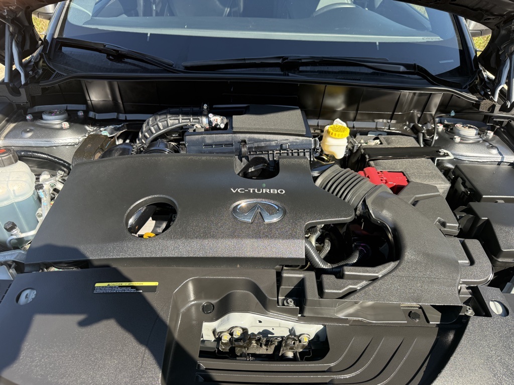 2024 Infiniti QX50 SPORT photo 32