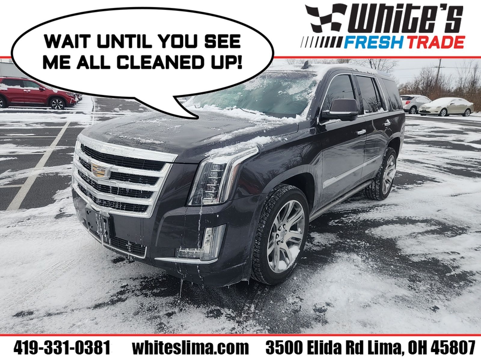 2015 Cadillac Escalade Premium's photo