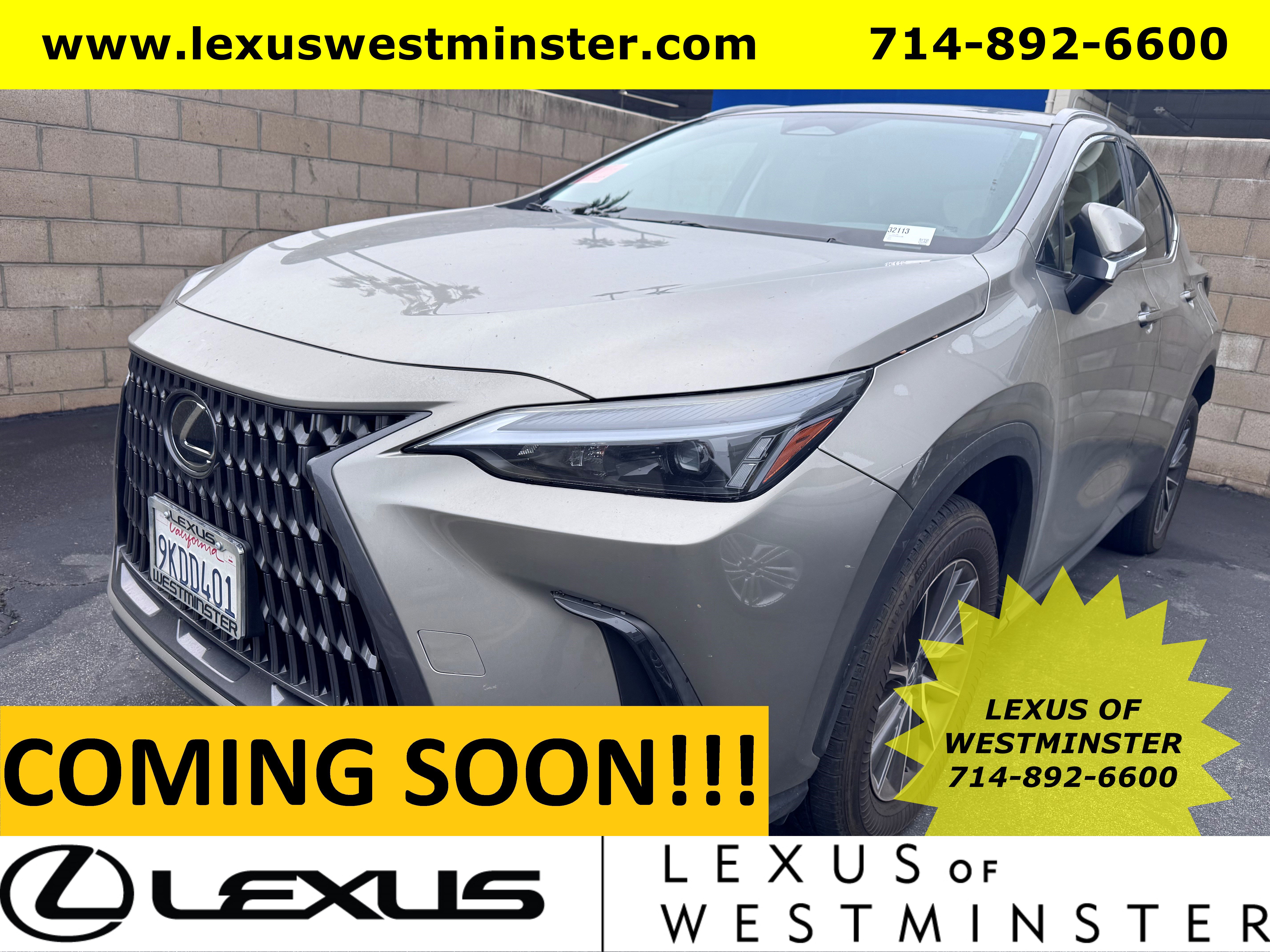 2024 Lexus NX 250's photo