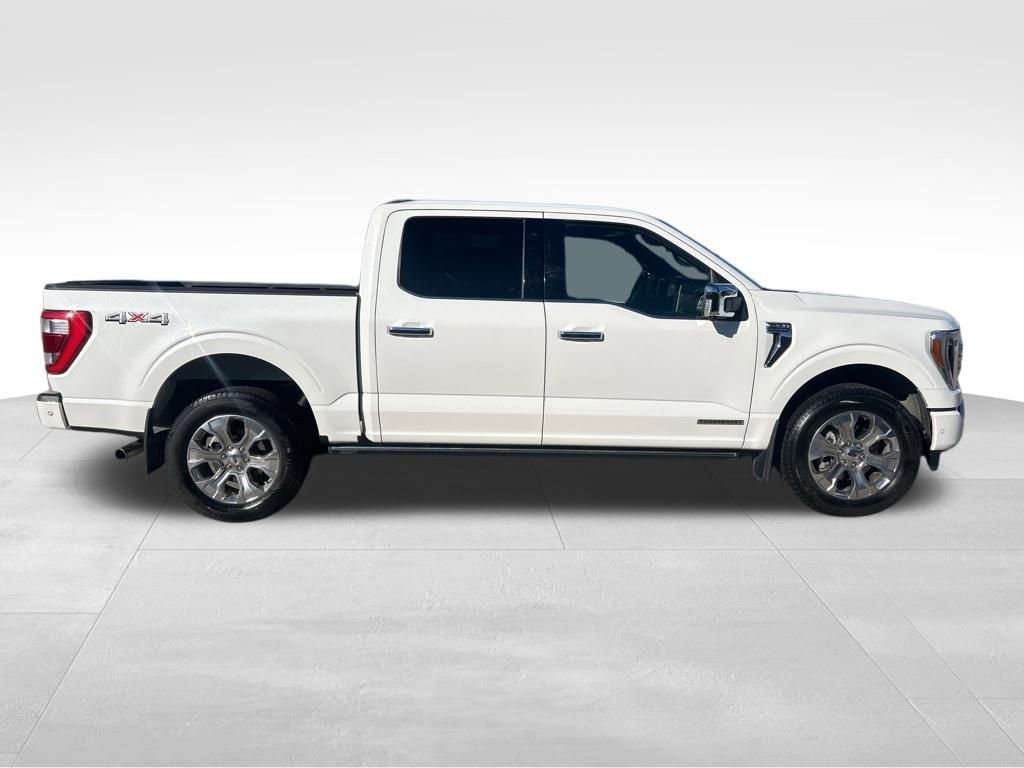 2022 Ford F-150 Platinum photo 5