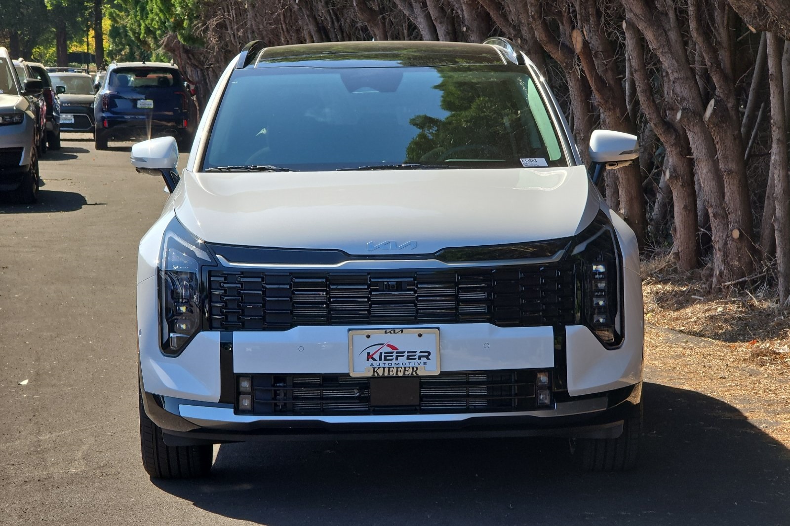 2026 Kia Sportage SX Prestige photo 4