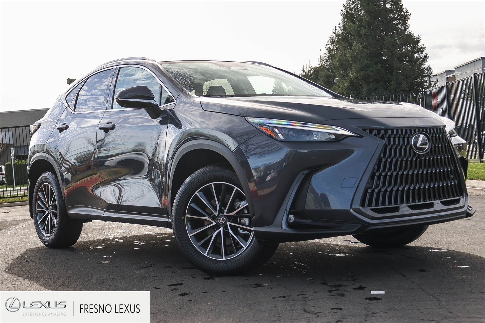2026 Lexus NX Hybrid 350h's photo