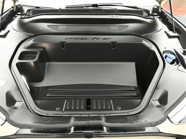 2025 FORD MUSTANG MACH-E - Image 30