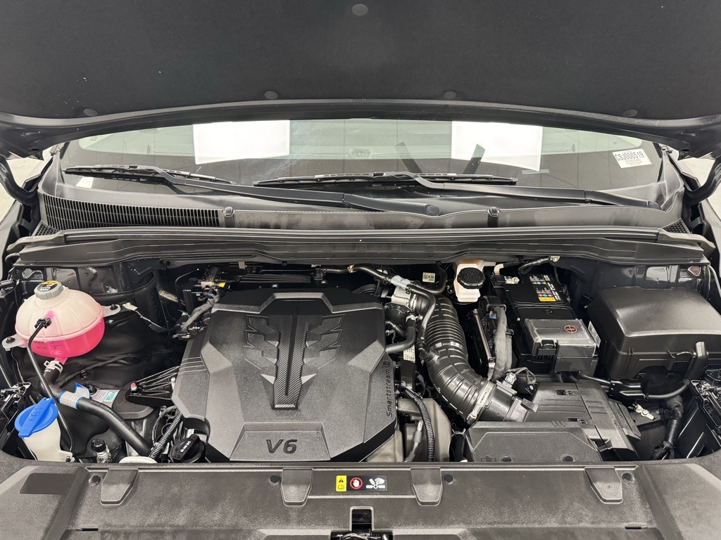 2024 Kia Carnival LX photo 20