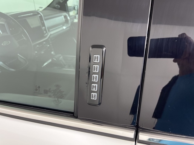 2021 Ford F-150 Platinum photo 9