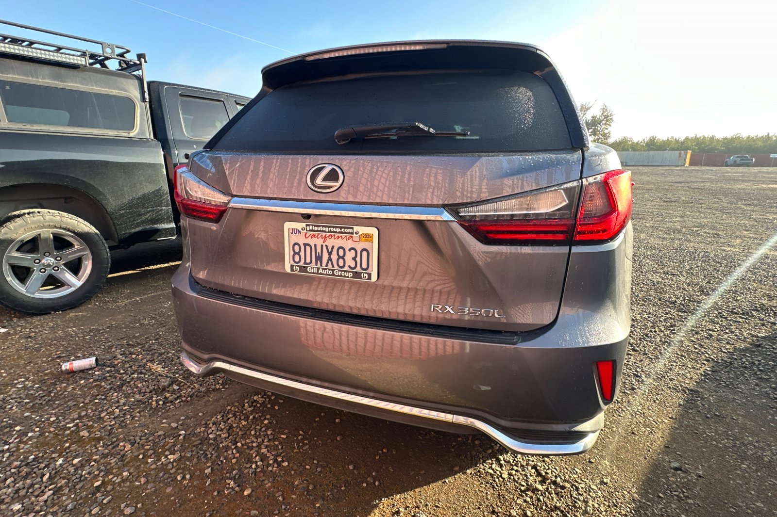 2018 Lexus RX 350L photo 3