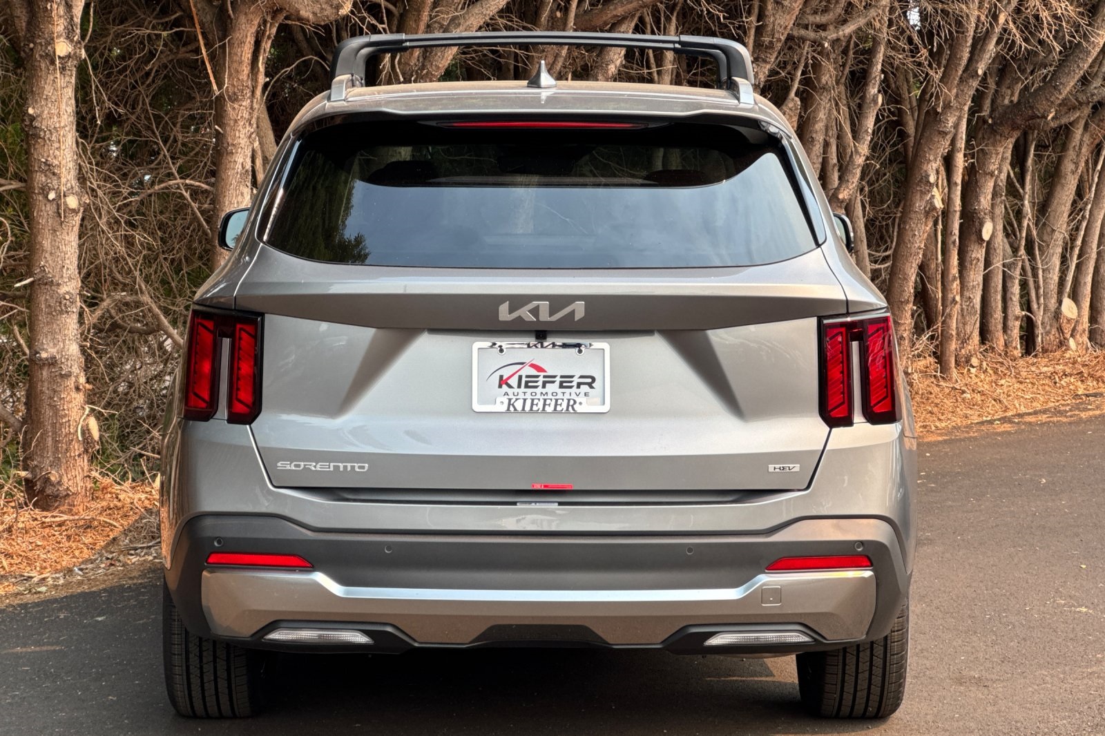 2025 Kia Sorento Hybrid EX photo 3