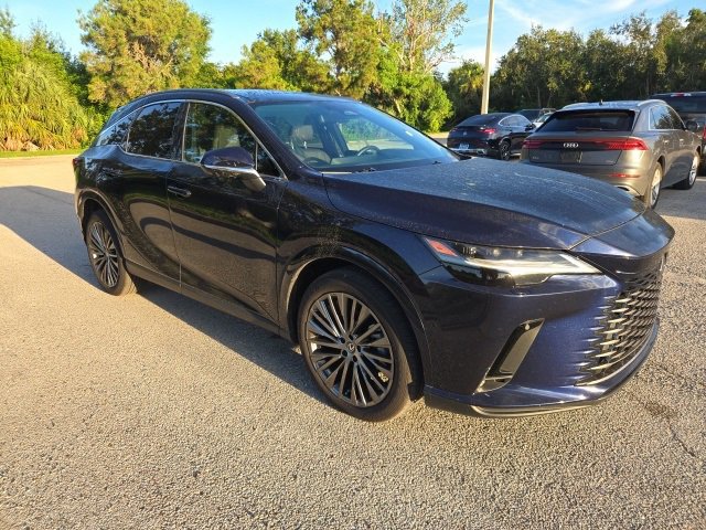 2024 Lexus RX 350 Luxury photo 6