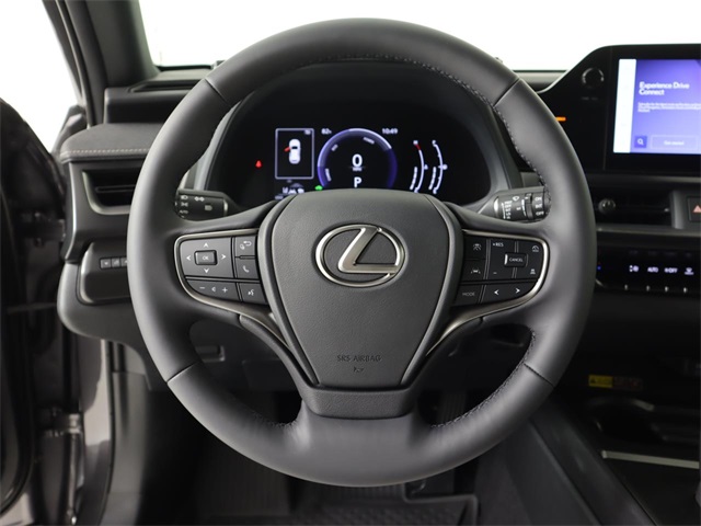 2025 Lexus UX photo 19