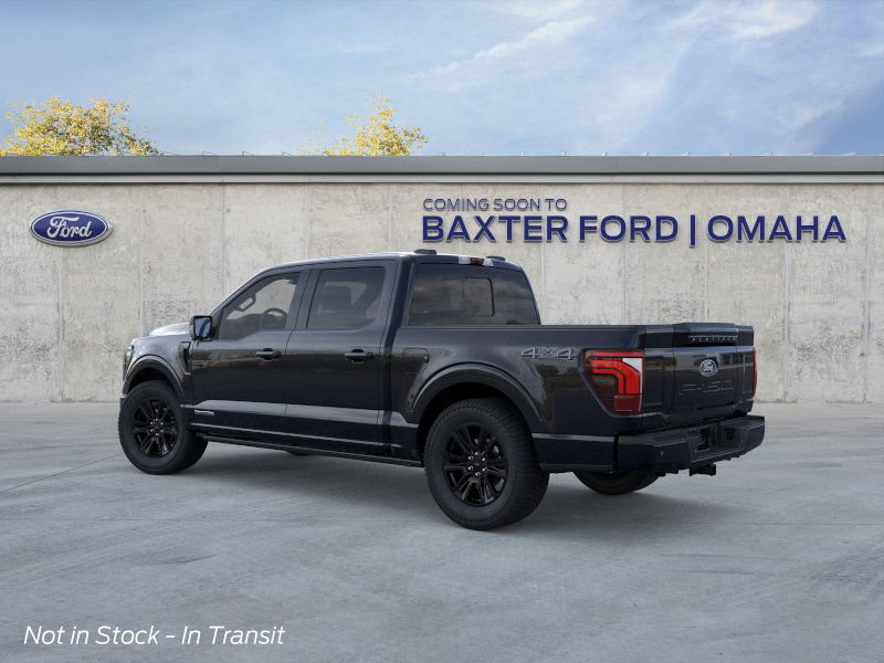 2025 Ford F-150 Platinum photo 19