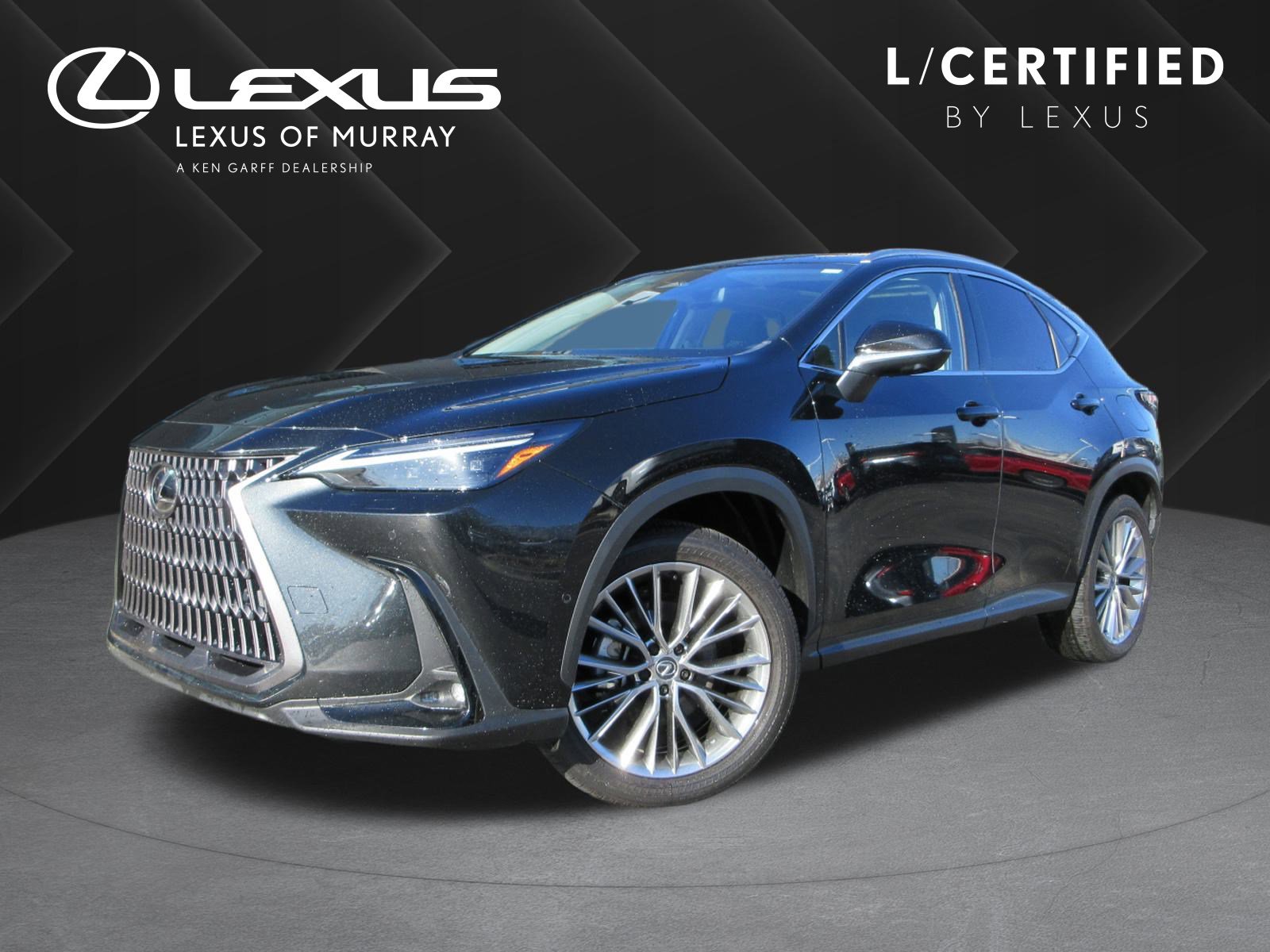 2025 Lexus NX Hybrid 350h's photo