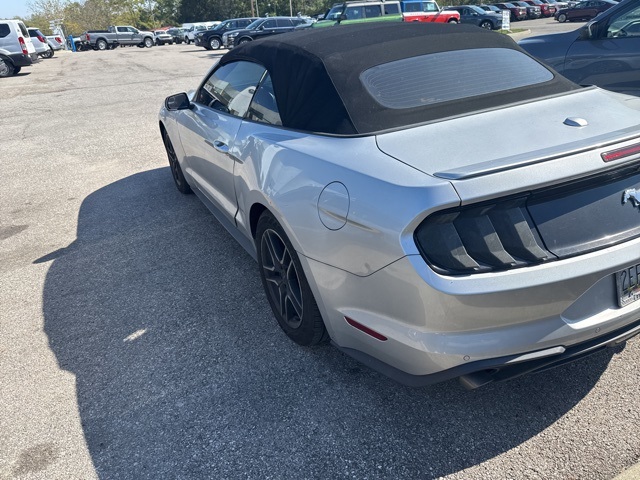 2019 Ford Mustang EcoBoost Premium photo 4