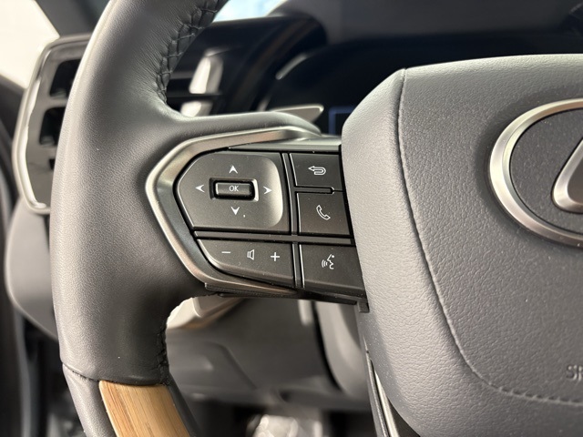2024 Lexus RX 350 Premium photo 8